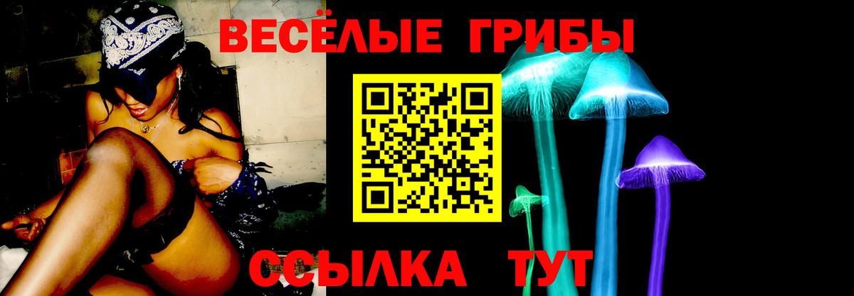 где купить наркоту  Галлюциногенные грибы GOLDEN TEACHER  Вход с VPN  Ухта 